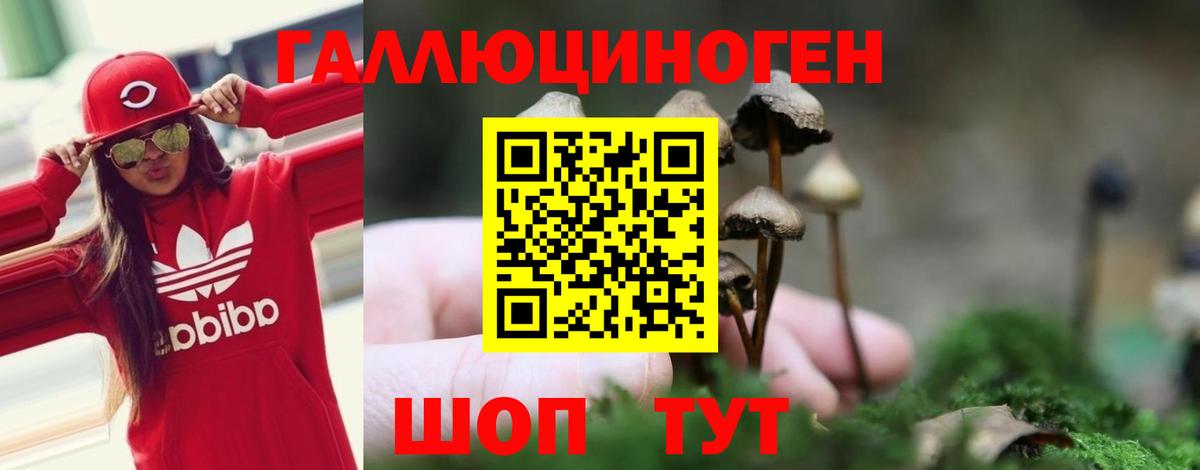 Галлюциногенные грибы мицелий Миллерово